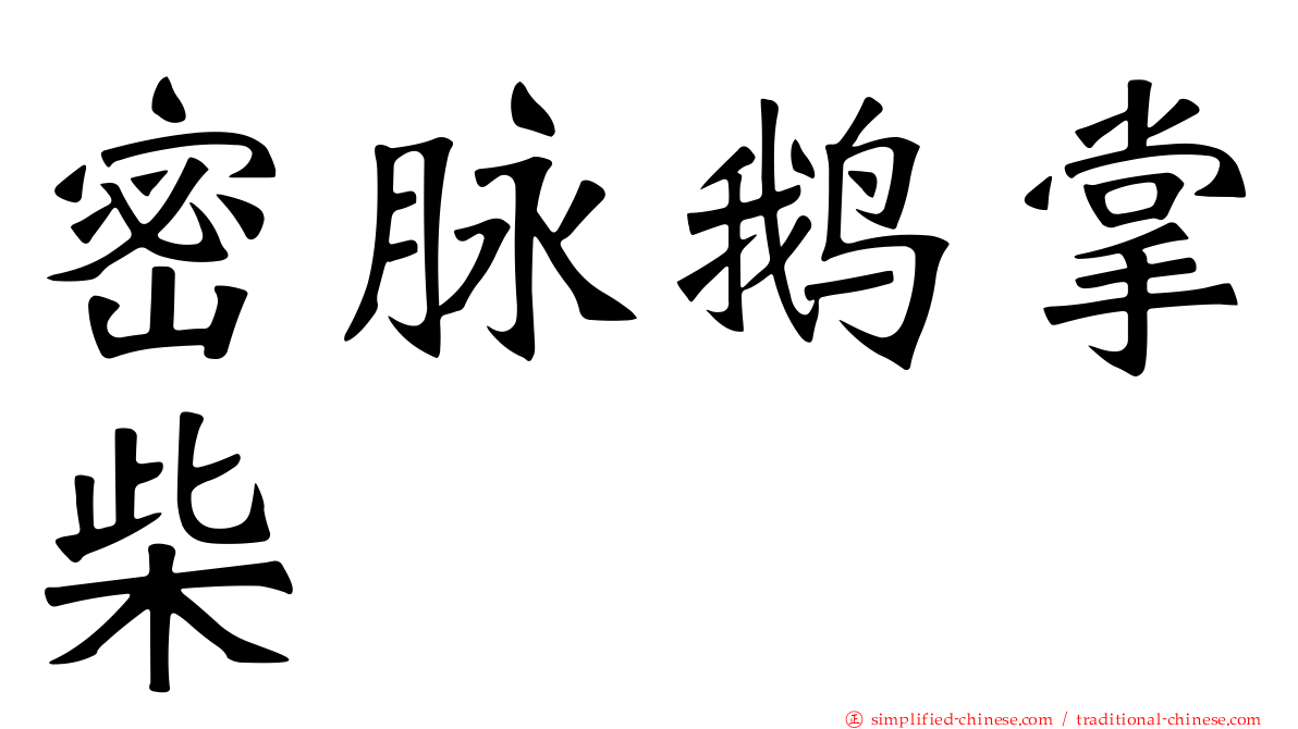密脉鹅掌柴