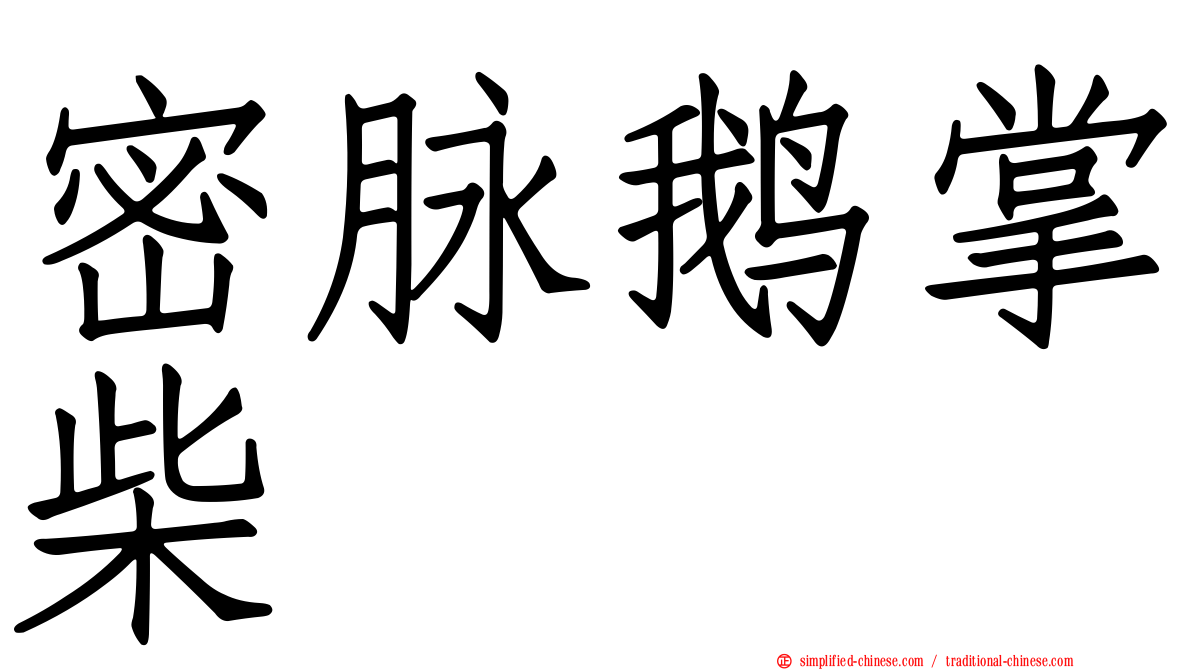密脉鹅掌柴