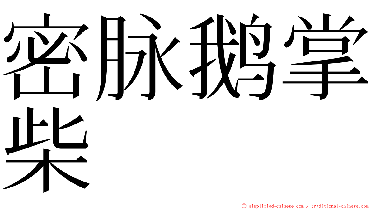 密脉鹅掌柴 ming font