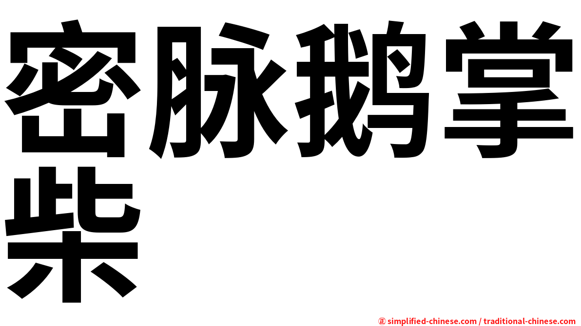 密脉鹅掌柴