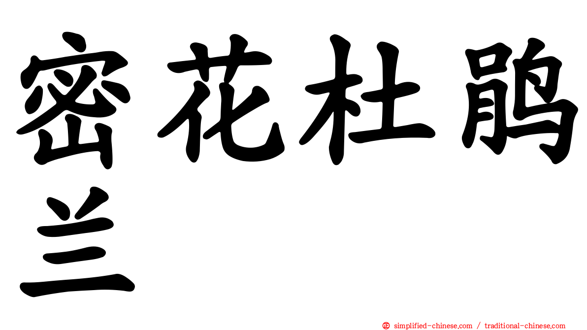 密花杜鹃兰