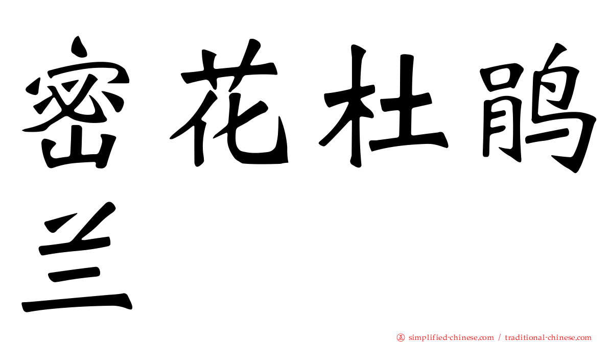 密花杜鹃兰