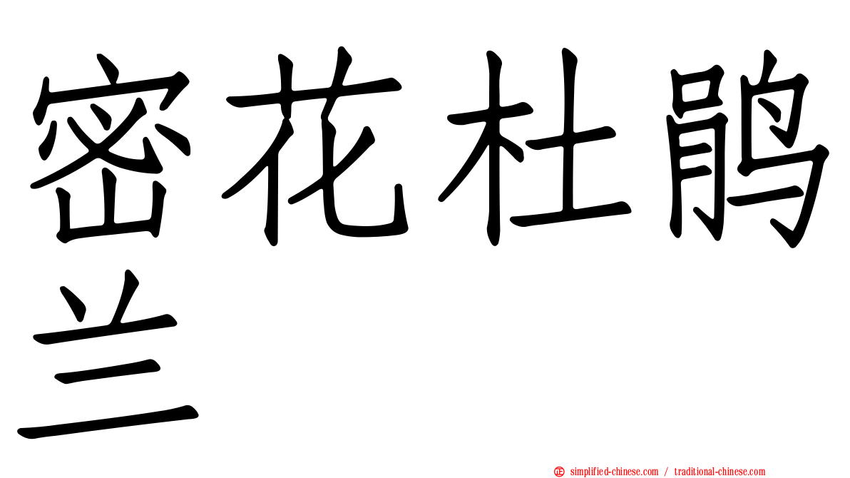 密花杜鹃兰