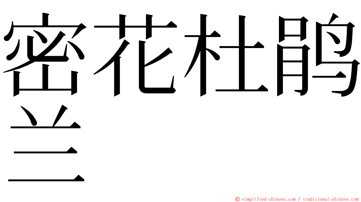 密花杜鹃兰 ming font