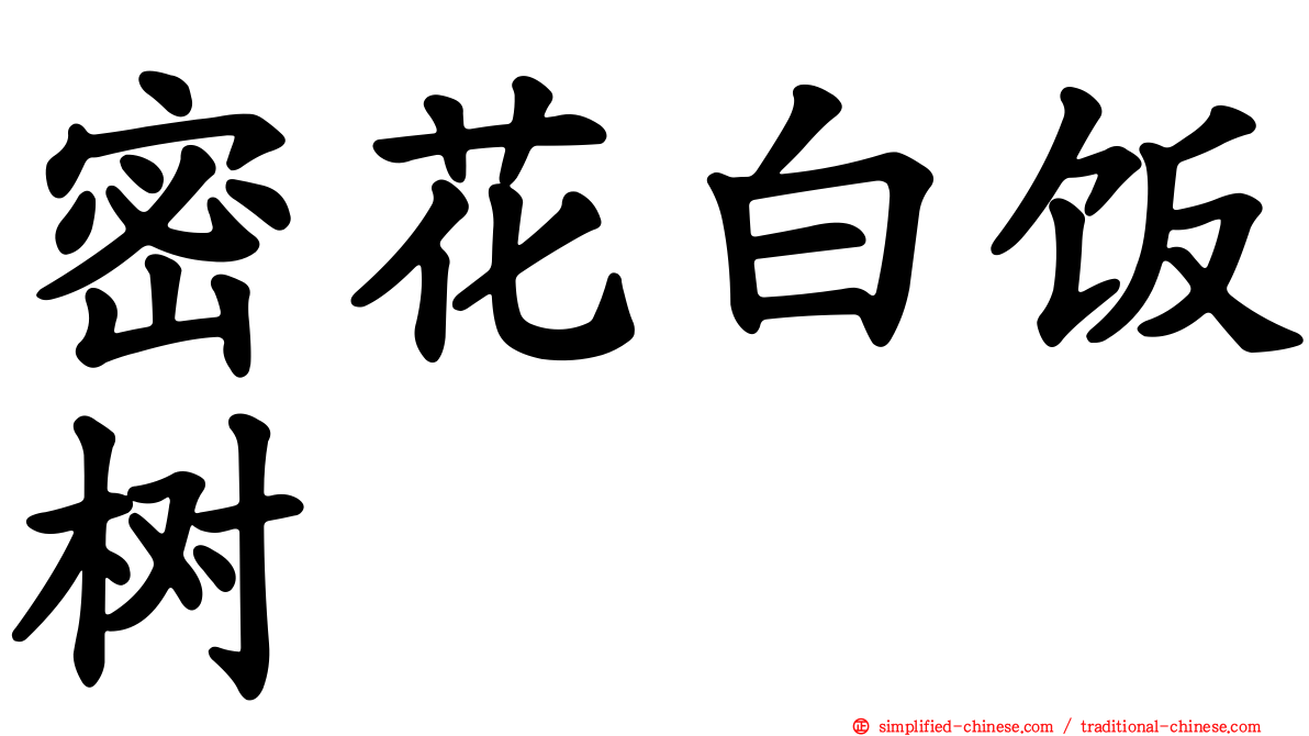 密花白饭树