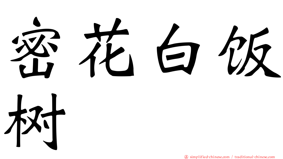 密花白饭树