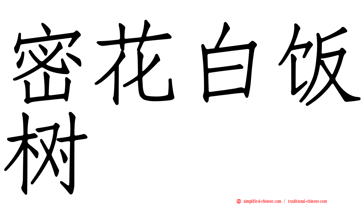 密花白饭树