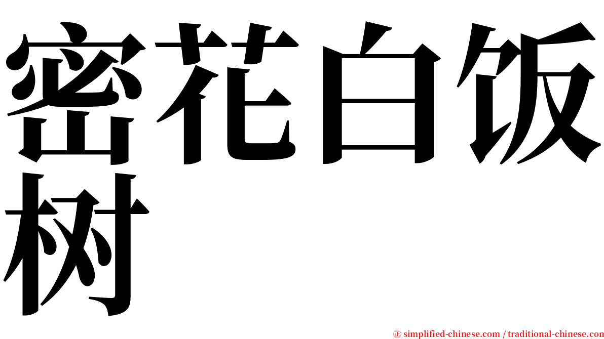 密花白饭树 serif font
