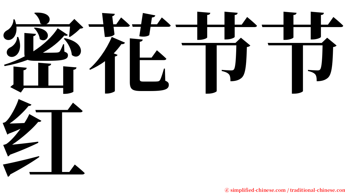 密花节节红 serif font