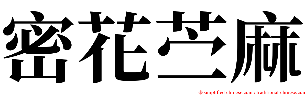 密花苎麻 serif font