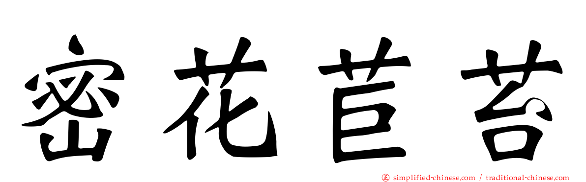 密花苣苔
