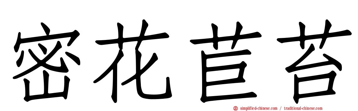 密花苣苔