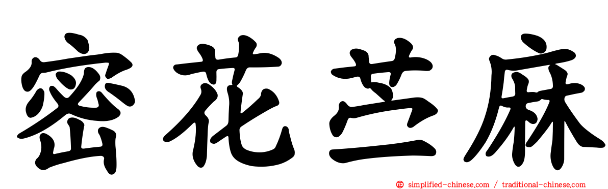 密花苎麻