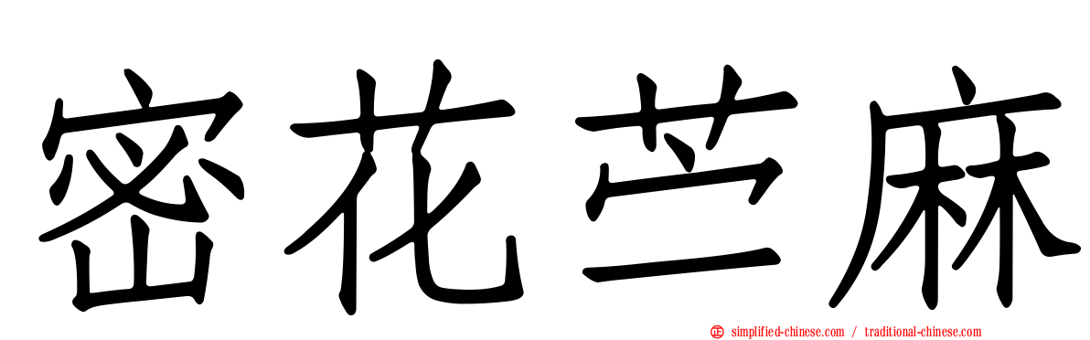 密花苎麻