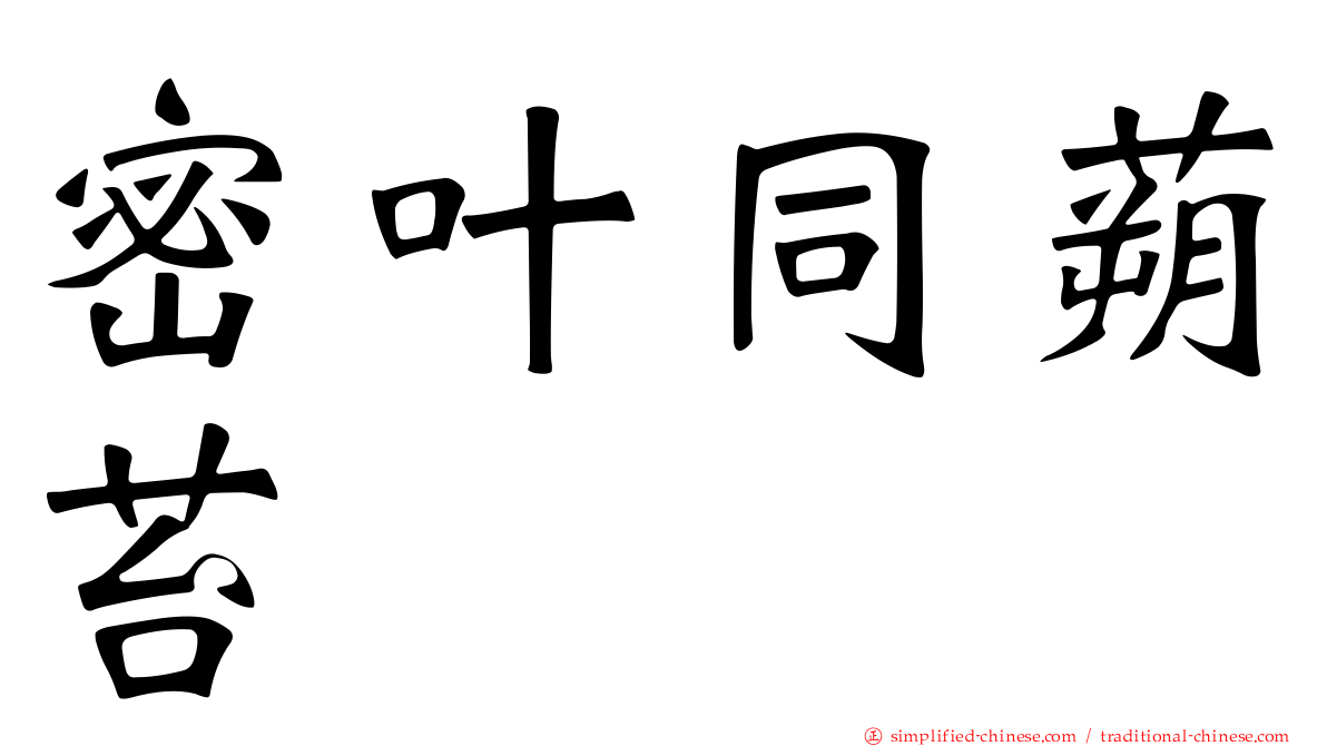 密叶同蒴苔