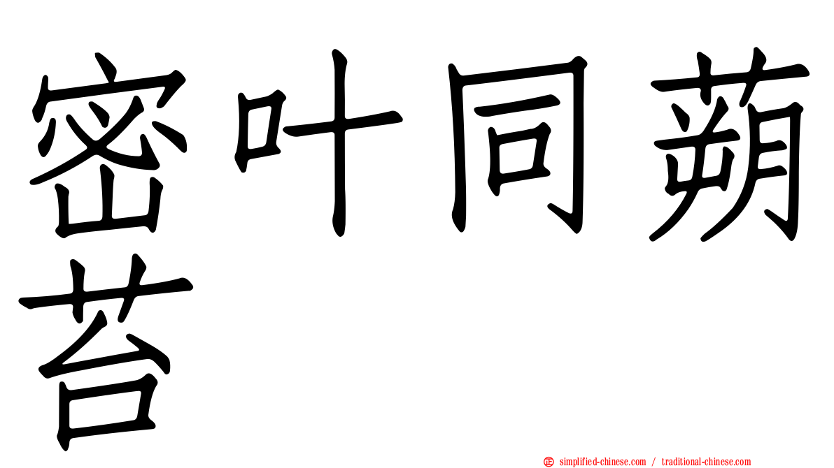 密叶同蒴苔