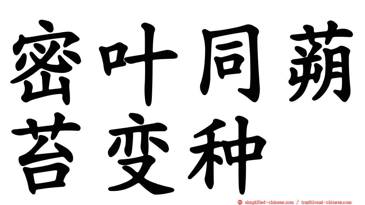 密叶同蒴苔变种