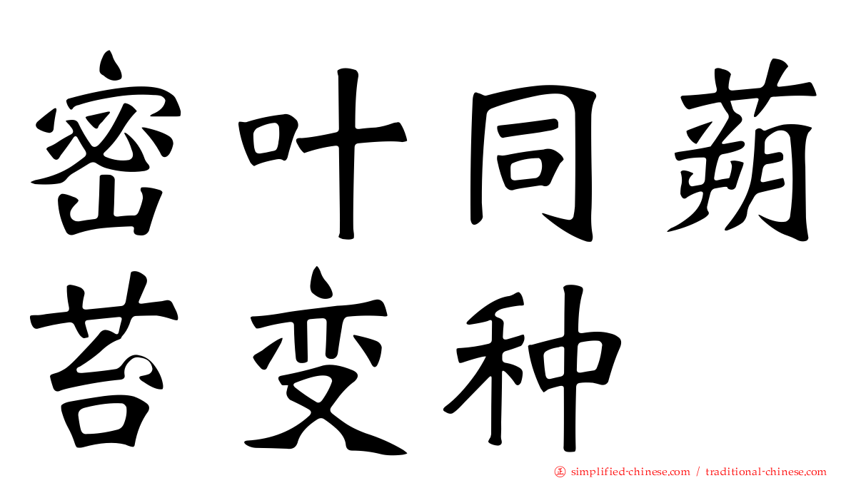 密叶同蒴苔变种