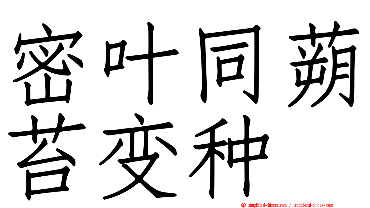 密叶同蒴苔变种