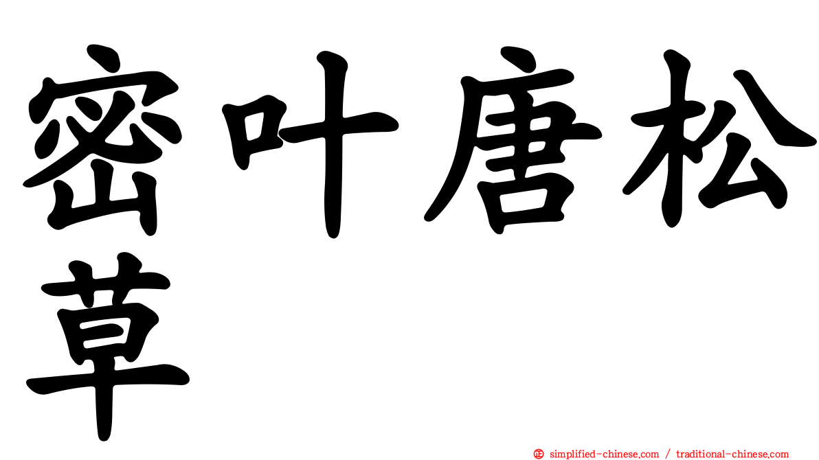 密叶唐松草