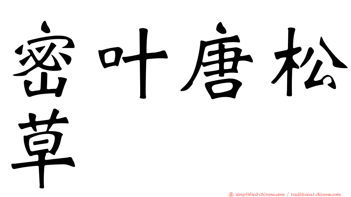 密叶唐松草