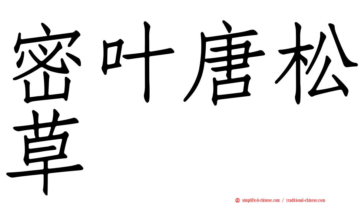 密叶唐松草