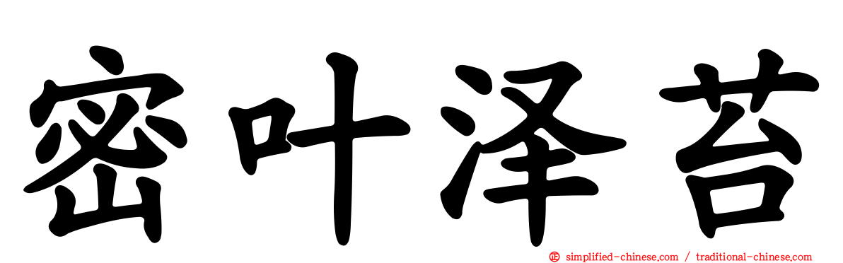 密叶泽苔