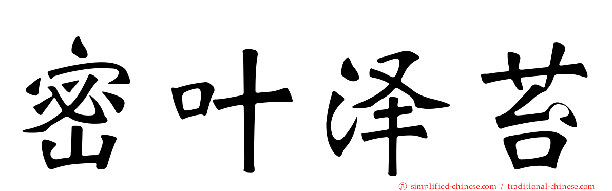 密叶泽苔