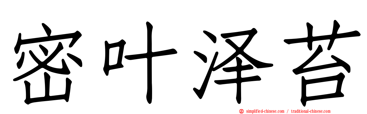 密叶泽苔