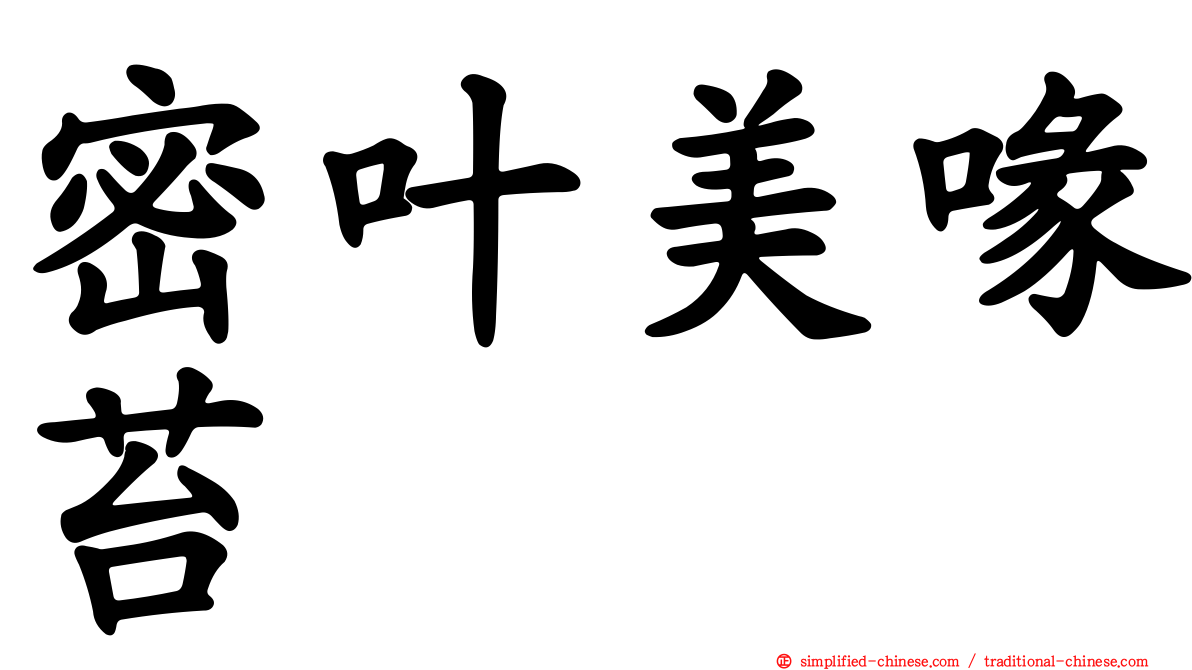 密叶美喙苔
