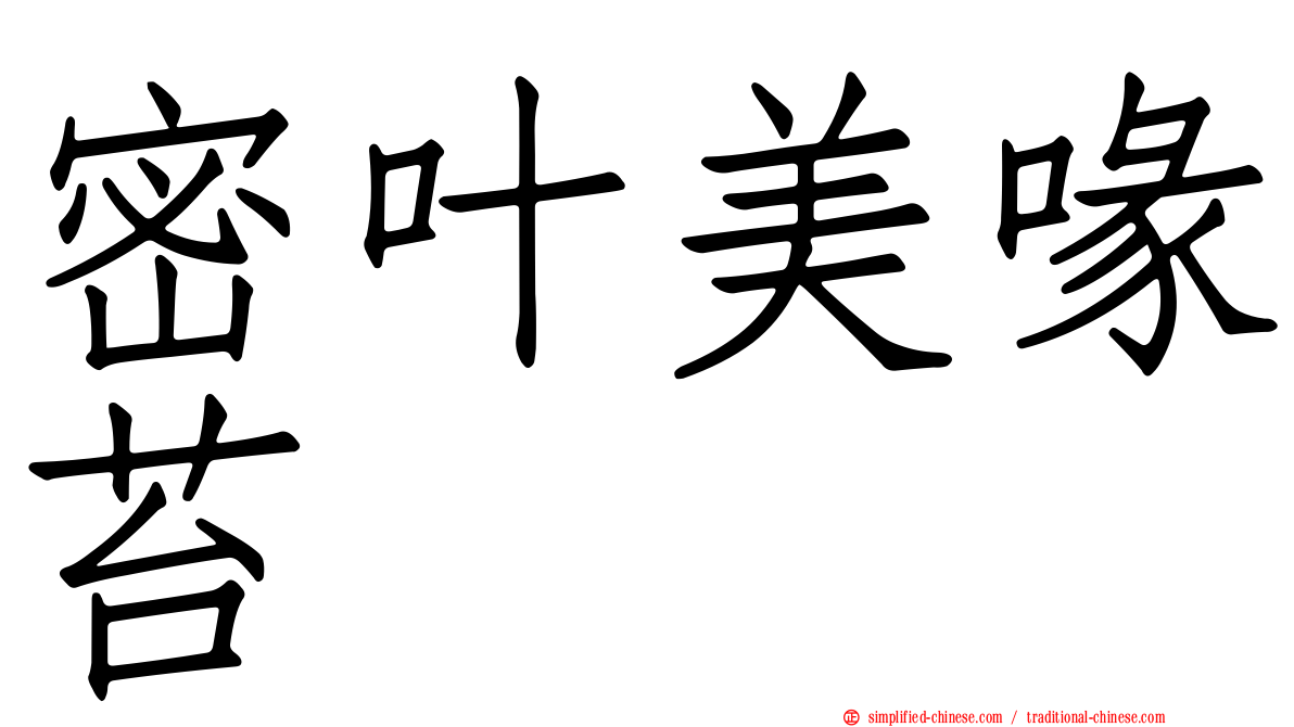密叶美喙苔