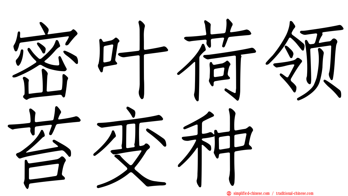 密叶荷领苔变种