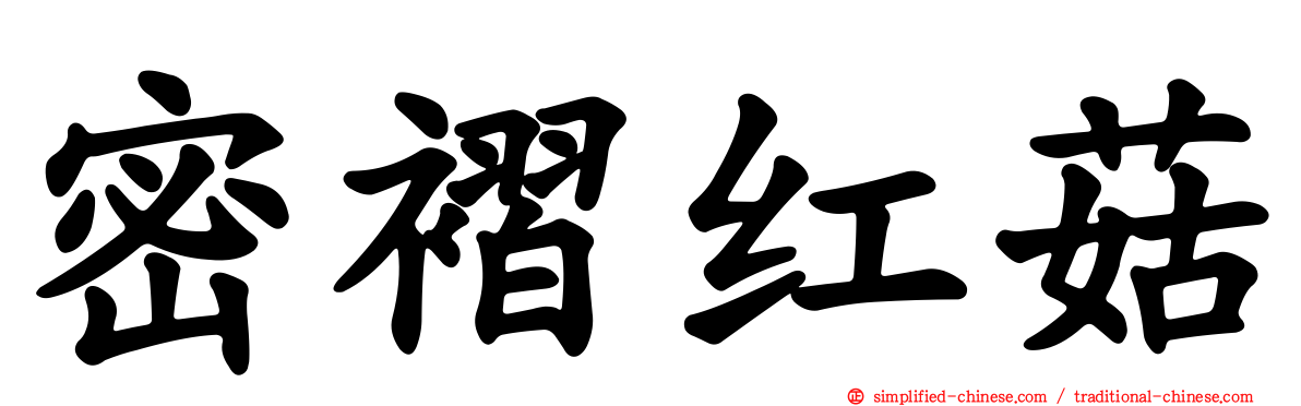 密褶红菇