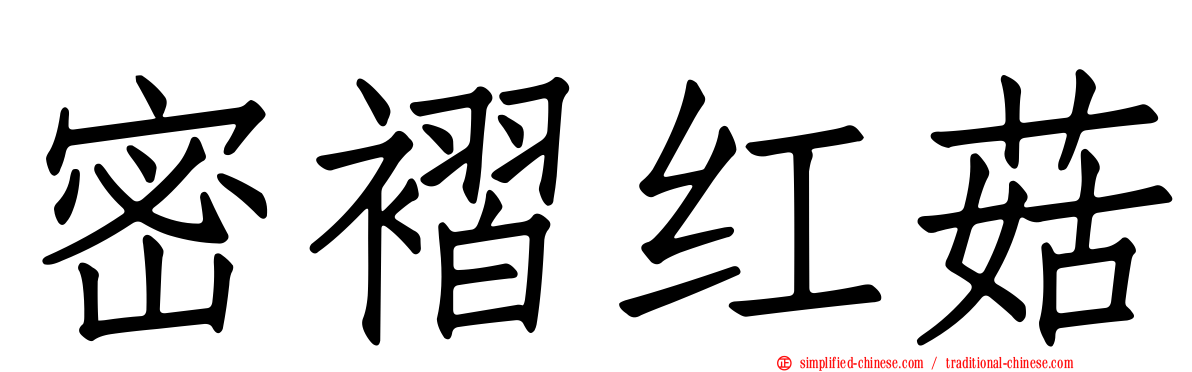 密褶红菇