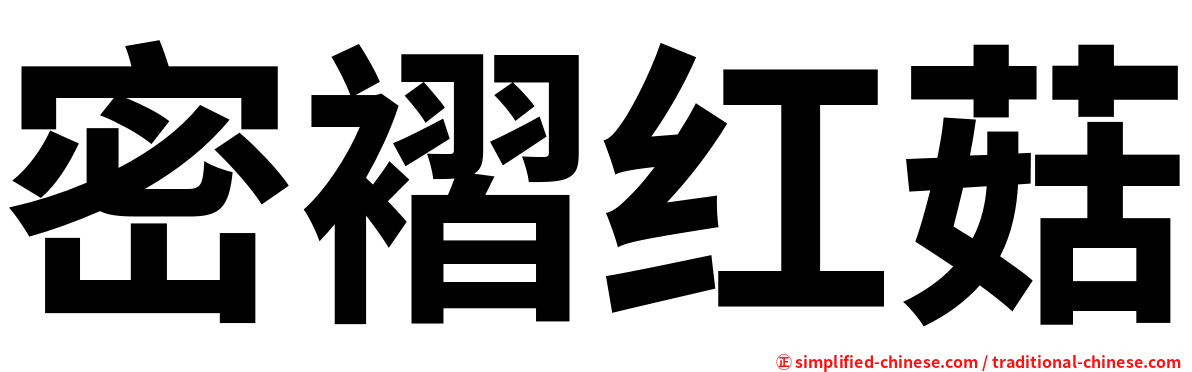 密褶红菇