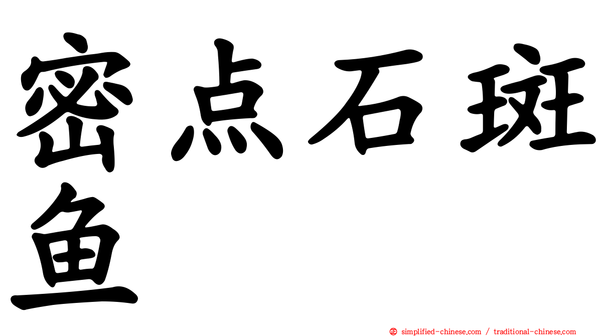 密点石斑鱼