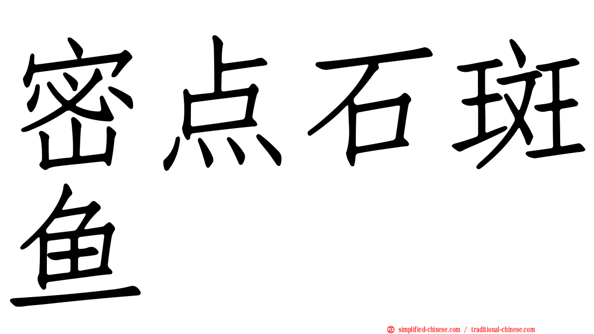 密点石斑鱼