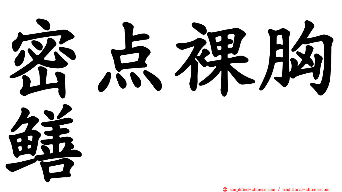 密点裸胸鳝