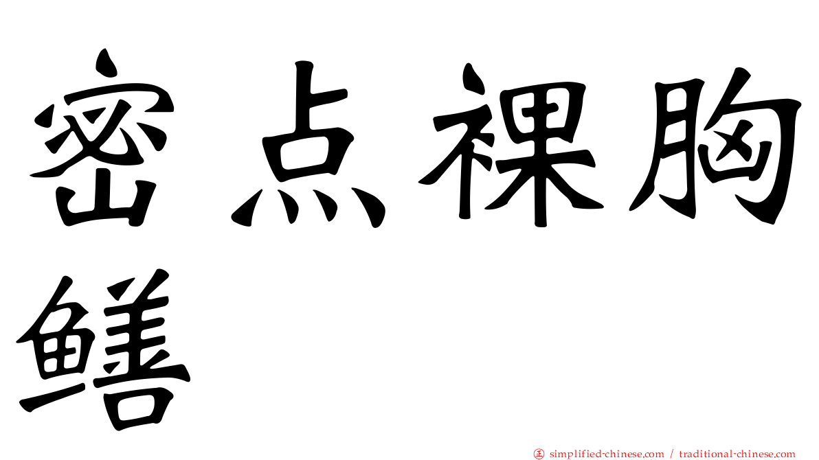 密点裸胸鳝