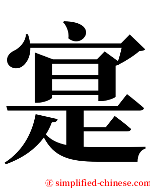 寔 serif font