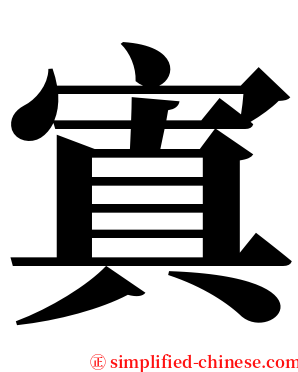 寘 serif font