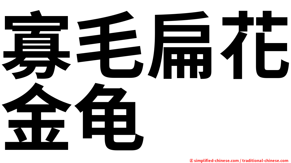 寡毛扁花金龟