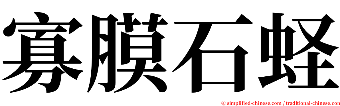 寡膜石蛏 serif font
