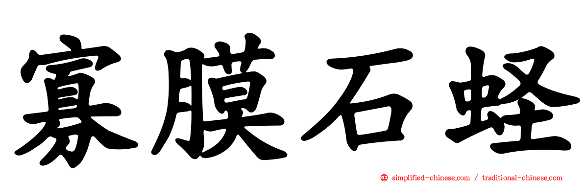 寡膜石蛏