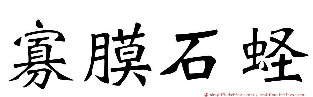 寡膜石蛏