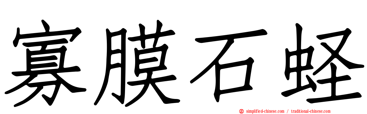 寡膜石蛏
