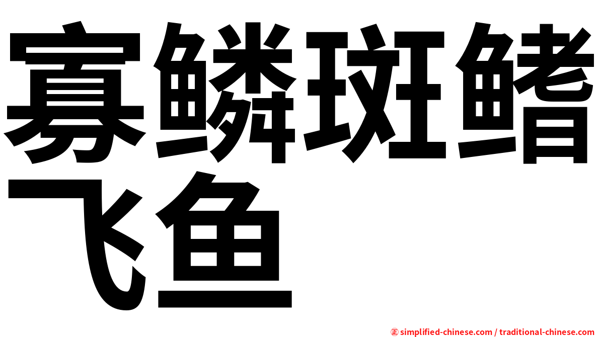 寡鳞斑鳍飞鱼