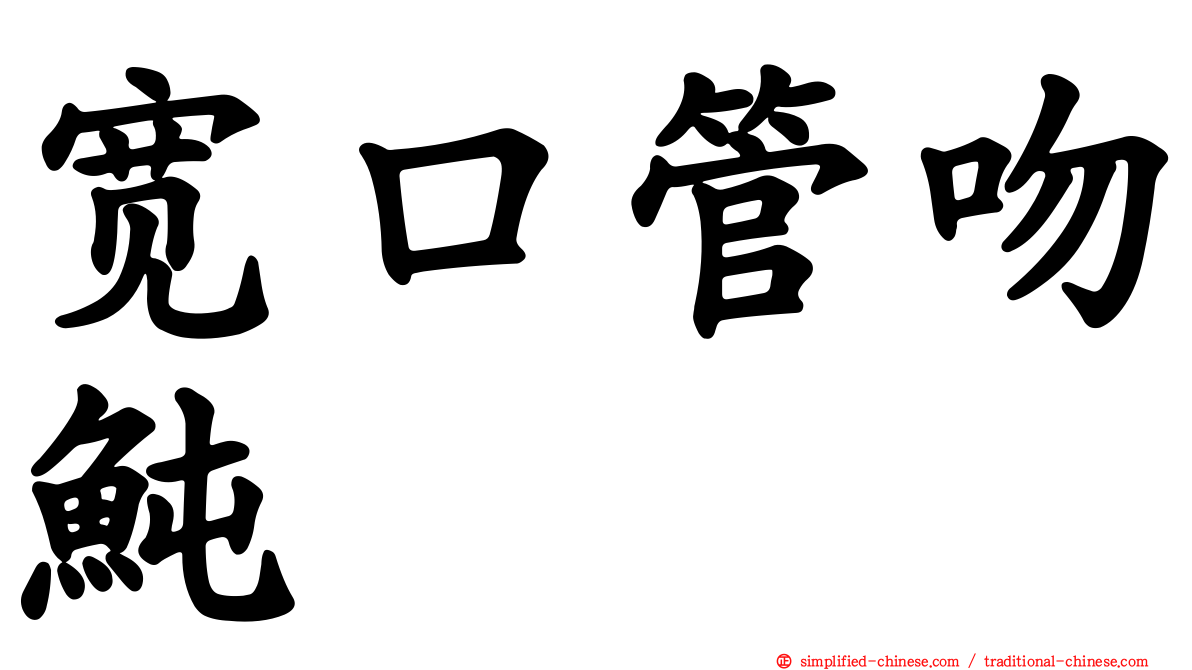 宽口管吻鲀