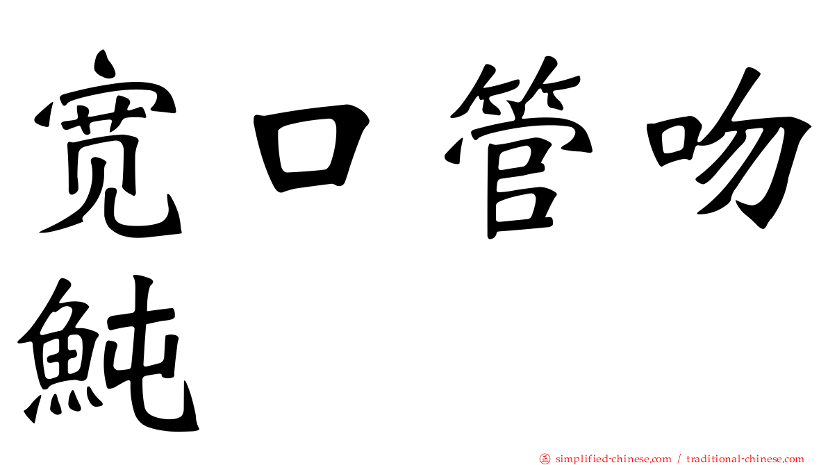 宽口管吻鲀