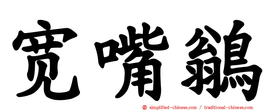 宽嘴鹟